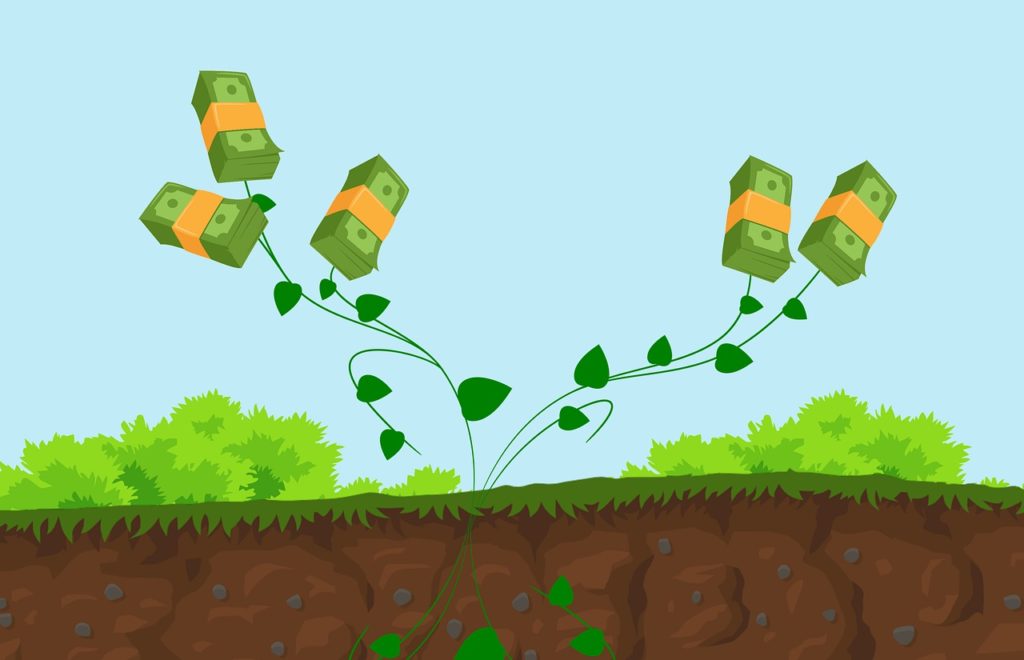 plant-money-tree